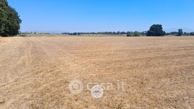 Terreno agricolo in commerciale in Strada Ponte Materiale