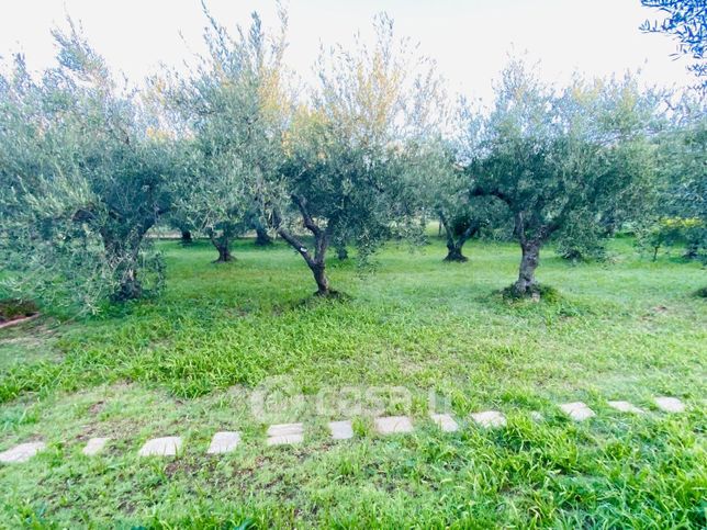 Terreno agricolo in commerciale in Strada Scalette