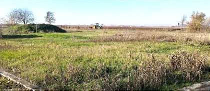 Terreno agricolo in commerciale in Via Valter Brunelli