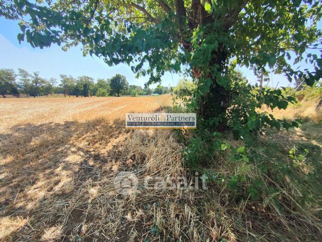 Terreno agricolo in commerciale in Via Brodena
