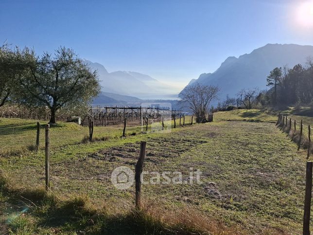 Terreno agricolo in commerciale in 