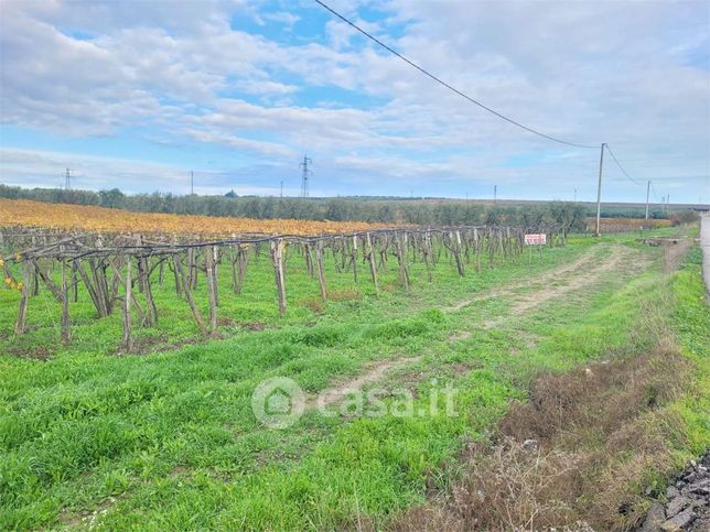 Terreno agricolo in commerciale in Strada Provinciale 96