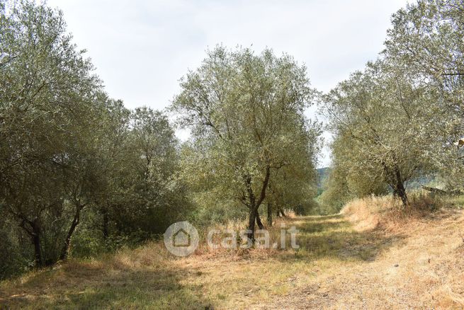 Terreno agricolo in commerciale in Via Delle Bizzarre 10