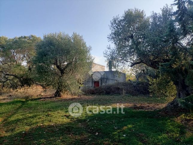 Terreno agricolo in commerciale in Contrada San Marco