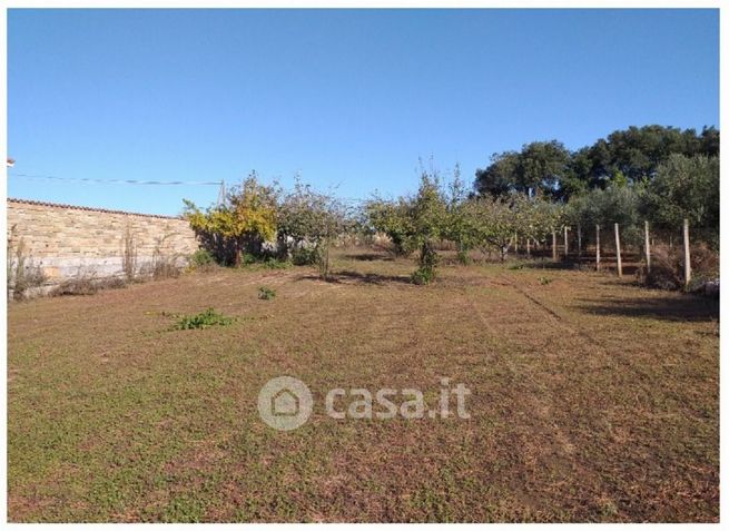 Terreno agricolo in commerciale in Via Torre del Monumento