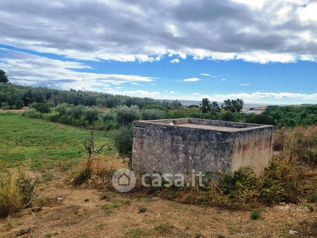 Terreno agricolo in commerciale in Via Pantano