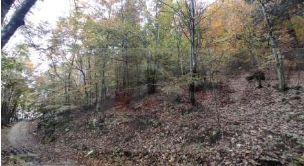 Terreno agricolo in commerciale in Strada Statale 47 della Valsugana