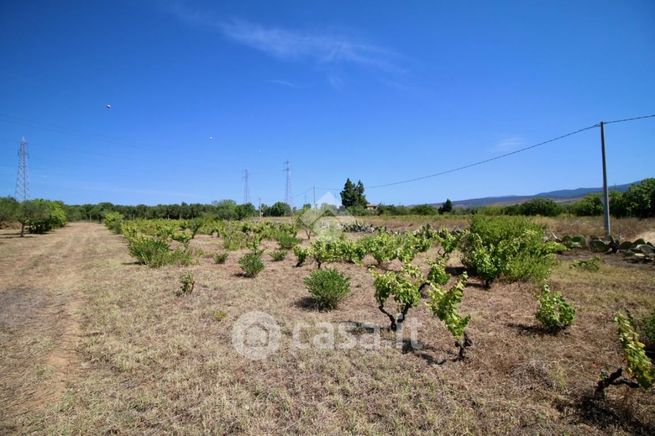 Terreno agricolo in commerciale in Strada Vicinale di Su Stracoxiu