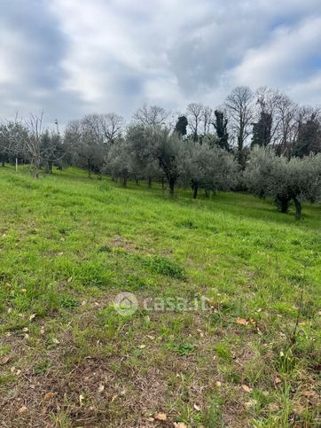 Terreno agricolo in commerciale in Via raccomandata