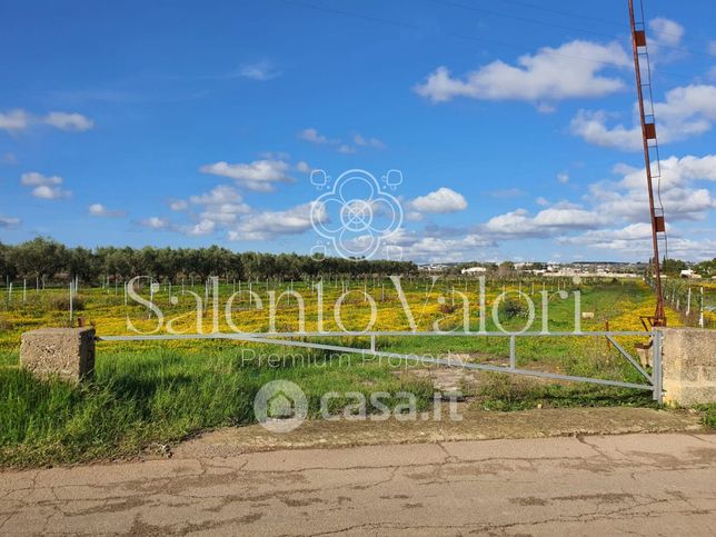 Terreno agricolo in commerciale in Strada Vicinale Tammali