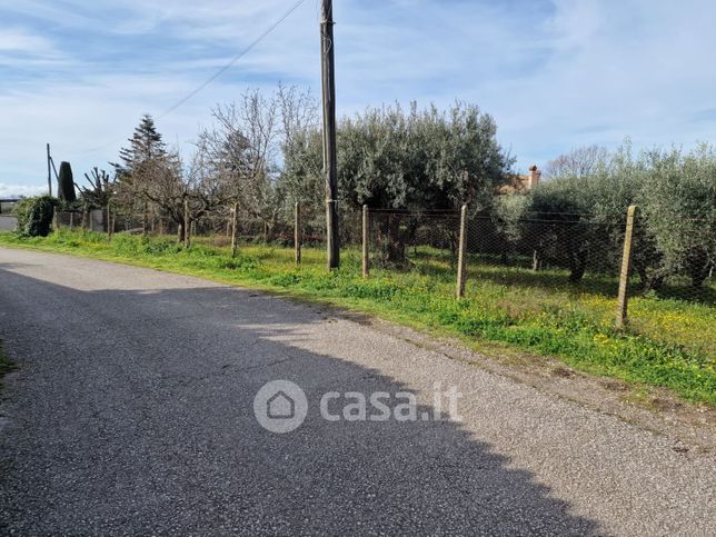 Terreno agricolo in commerciale in Vicolo Sant'Antonio in Canepine