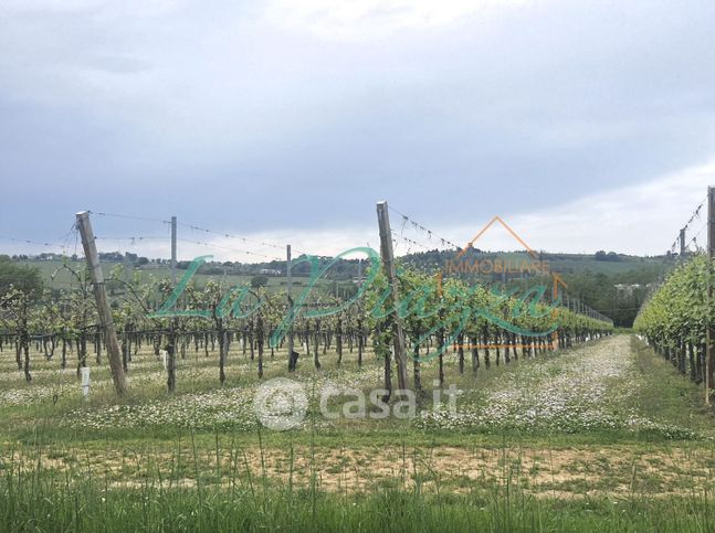 Terreno agricolo in commerciale in Via Tebano