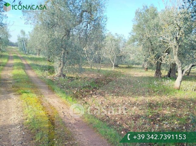 Terreno agricolo in commerciale in Strada PROVINCIALE 281