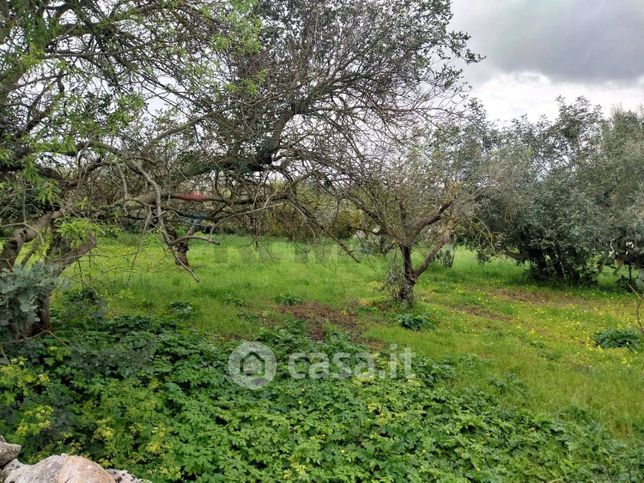 Terreno agricolo in commerciale in Via Sant'Andrea