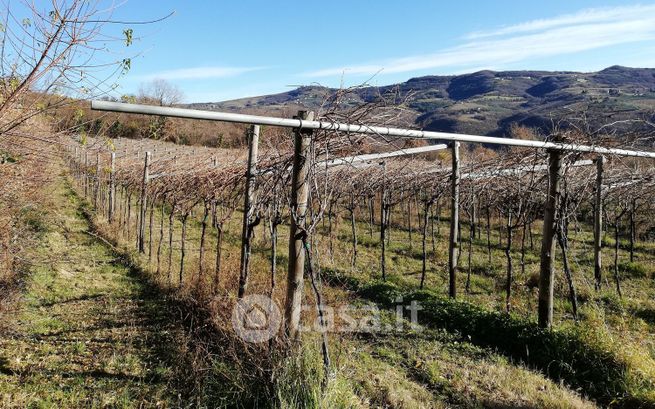 Terreno agricolo in commerciale in Via Mezzomonte