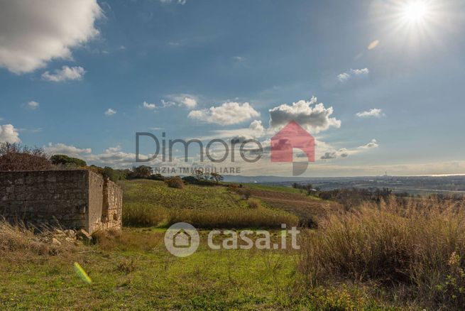 Terreno agricolo in commerciale in Strada Provinciale Roccaccia