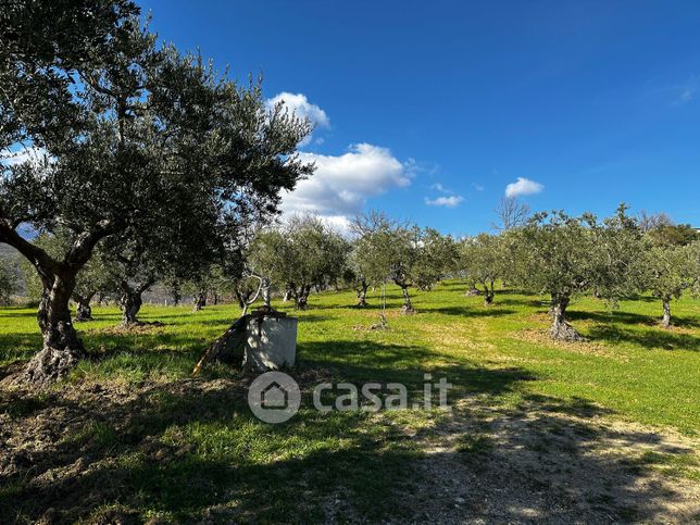 Terreno agricolo in commerciale in 