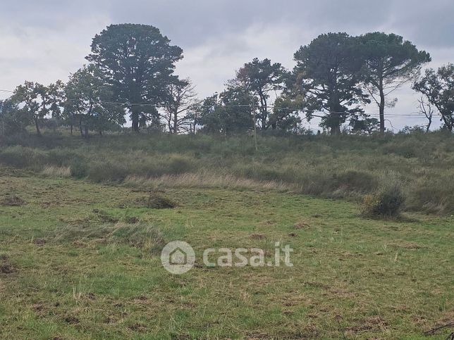 Terreno agricolo in commerciale in Strada Palomba