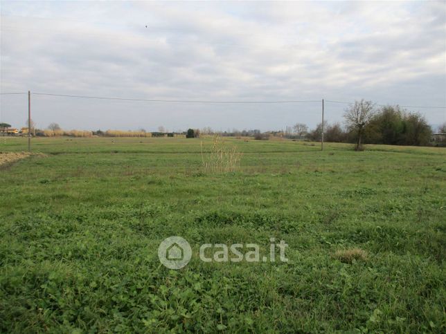 Terreno agricolo in commerciale in 