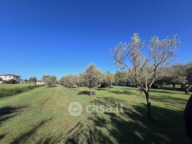 Terreno agricolo in commerciale in 