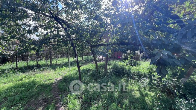 Terreno agricolo in commerciale in Via Giuseppe Pagano