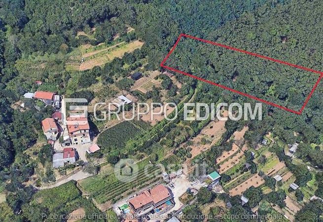 Terreno agricolo in commerciale in Via Vicinale San Martino