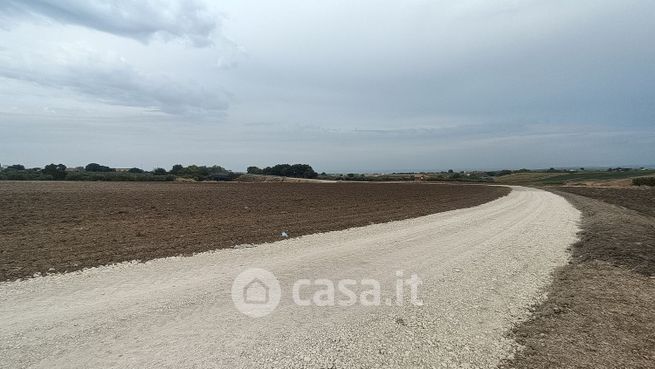 Terreno agricolo in commerciale in Contrada Buccaro