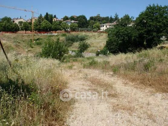Terreno agricolo in commerciale in Strada Provinciale 14