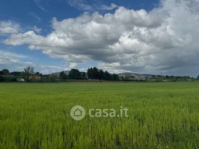 Terreno agricolo in commerciale in Strada Castel del Piano - Pila