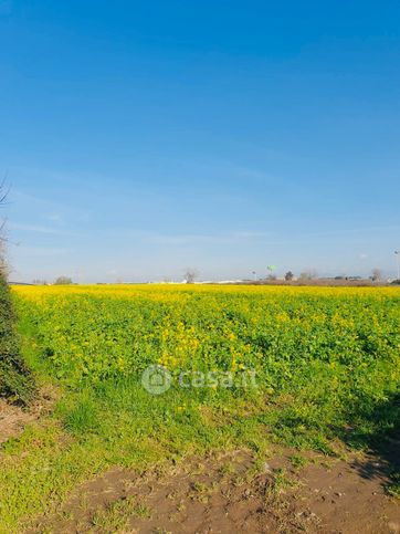 Terreno agricolo in commerciale in Via Ponza 20