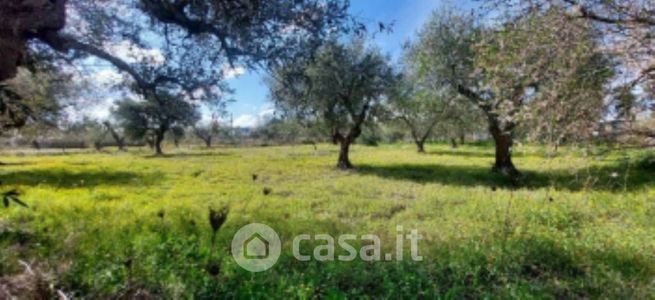 Terreno agricolo in commerciale in Strada Comunale Contrada Seggio