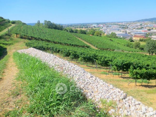 Terreno agricolo in commerciale in Via Selva Alta