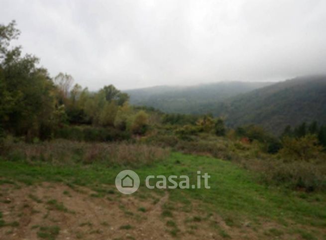 Terreno agricolo in commerciale in LocalitÃ  Montepulico