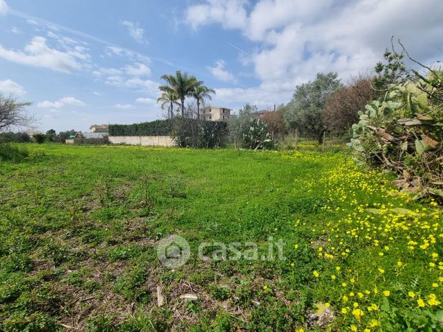 Terreno agricolo in commerciale in Casarsa
