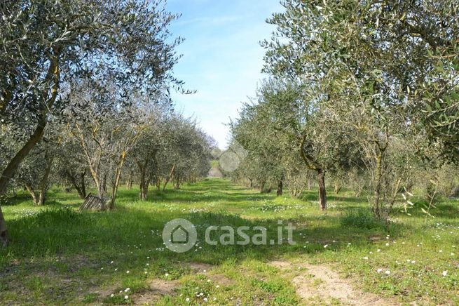 Terreno agricolo in commerciale in 