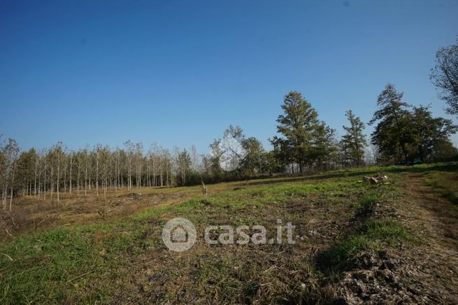 Terreno edificabile in residenziale in Strada San Pietro 41