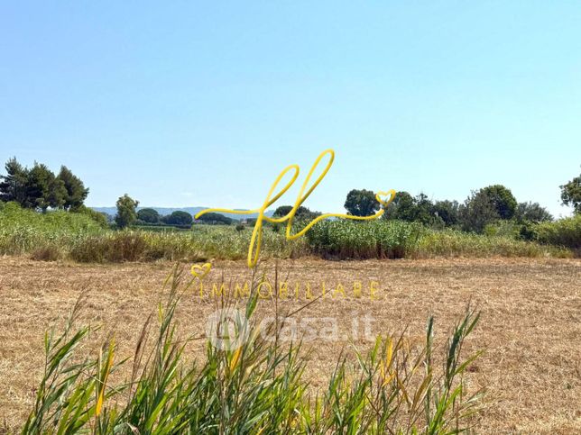 Terreno agricolo in commerciale in Strada Statale 68 di Val Cecina