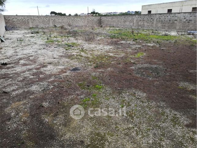 Terreno agricolo in commerciale in Contrada Bosco