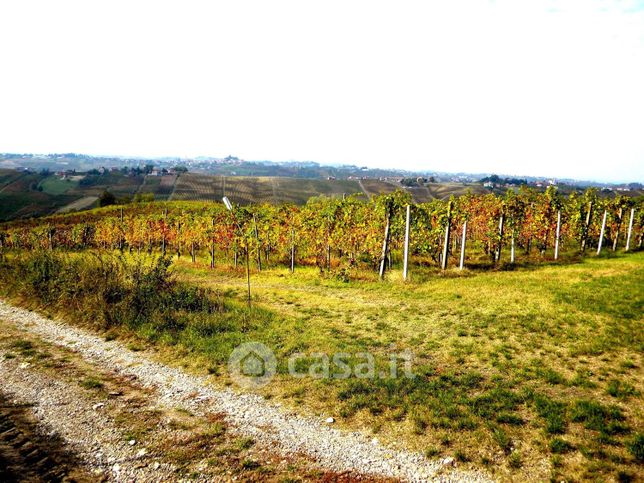 Terreno agricolo in commerciale in Strada PROVINCIALE