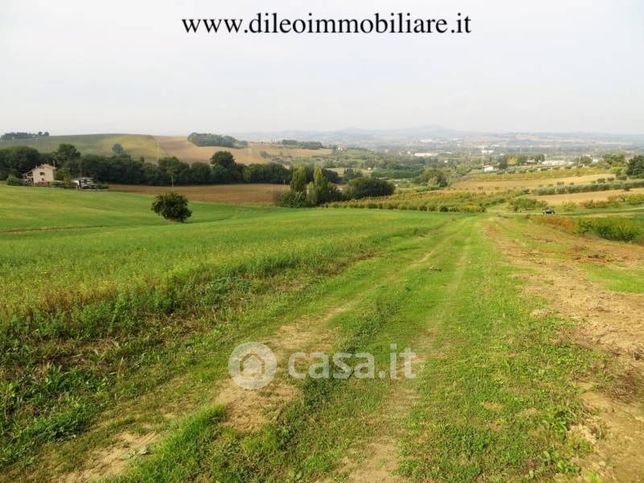 Negozio/locale commerciale in commerciale in 
