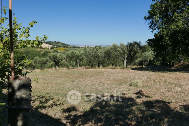 Terreno agricolo in commerciale in Via San Maria Goretti