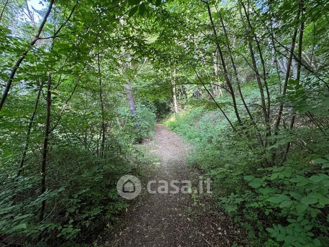 Terreno agricolo in commerciale in 