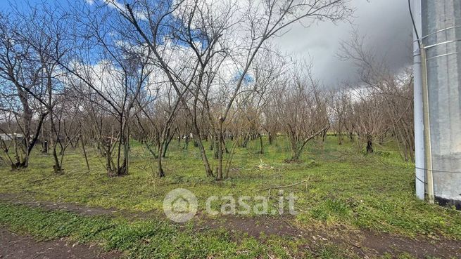 Terreno agricolo in commerciale in Corso Italia