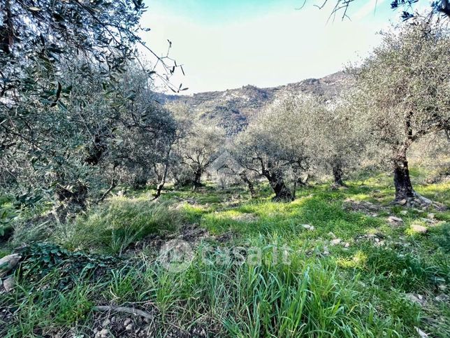 Terreno agricolo in commerciale in Via Duca degli Abruzzi