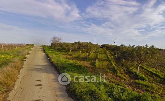 Terreno agricolo in commerciale in Strada Senza Nome