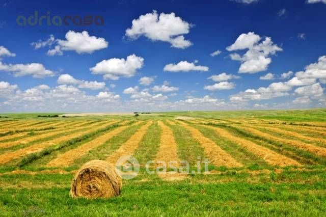 Terreno agricolo in commerciale in Via Marzabotto