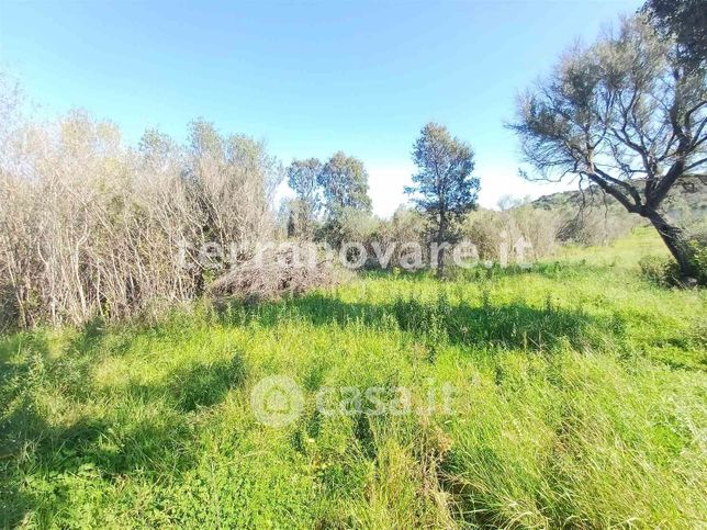 Terreno agricolo in commerciale in Complanare Sud