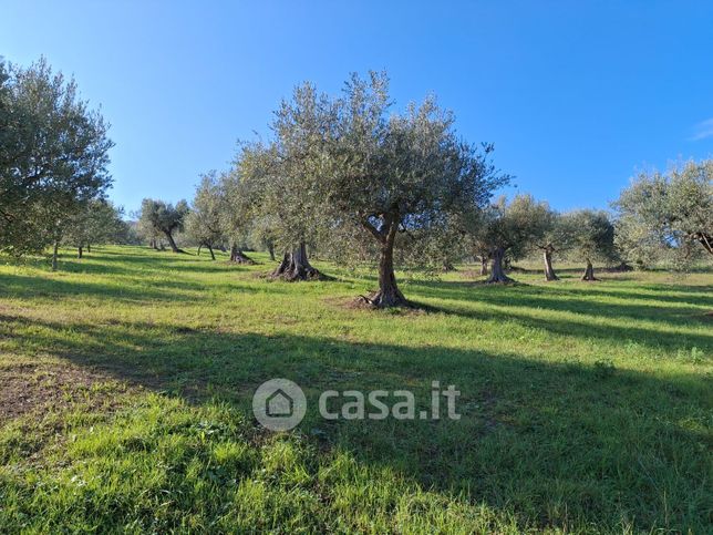 Terreno agricolo in commerciale in Contrada Cretone