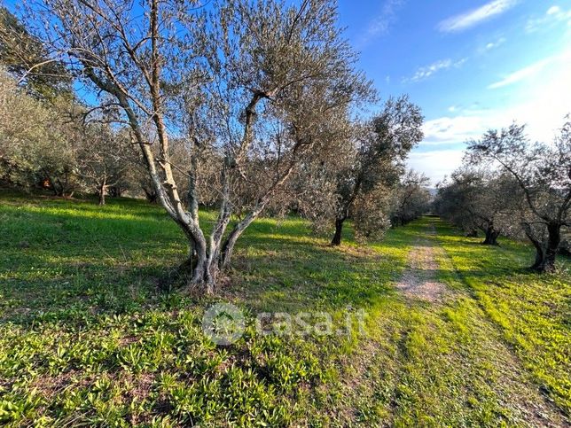 Terreno edificabile in residenziale in Strada Provinciale 41