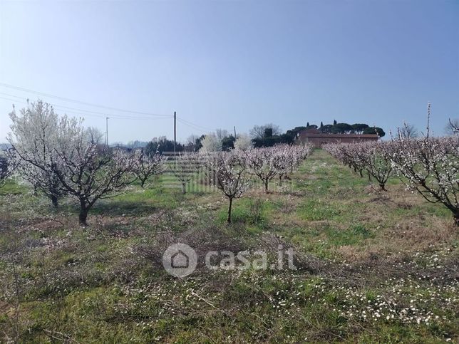 Terreno agricolo in commerciale in 